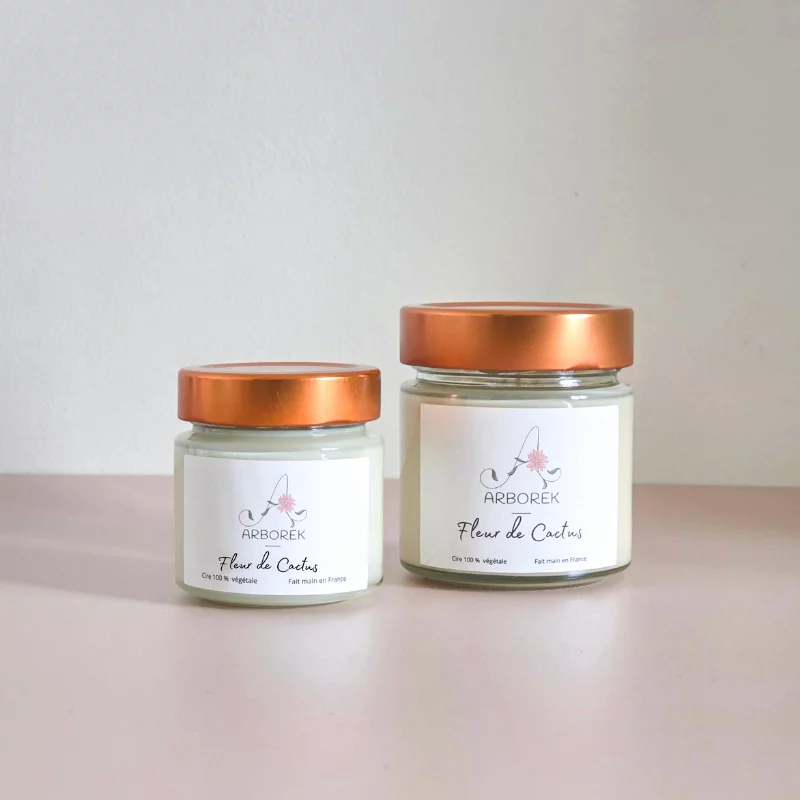 Bougie Cactus - cire végétale de soja - Photo 1