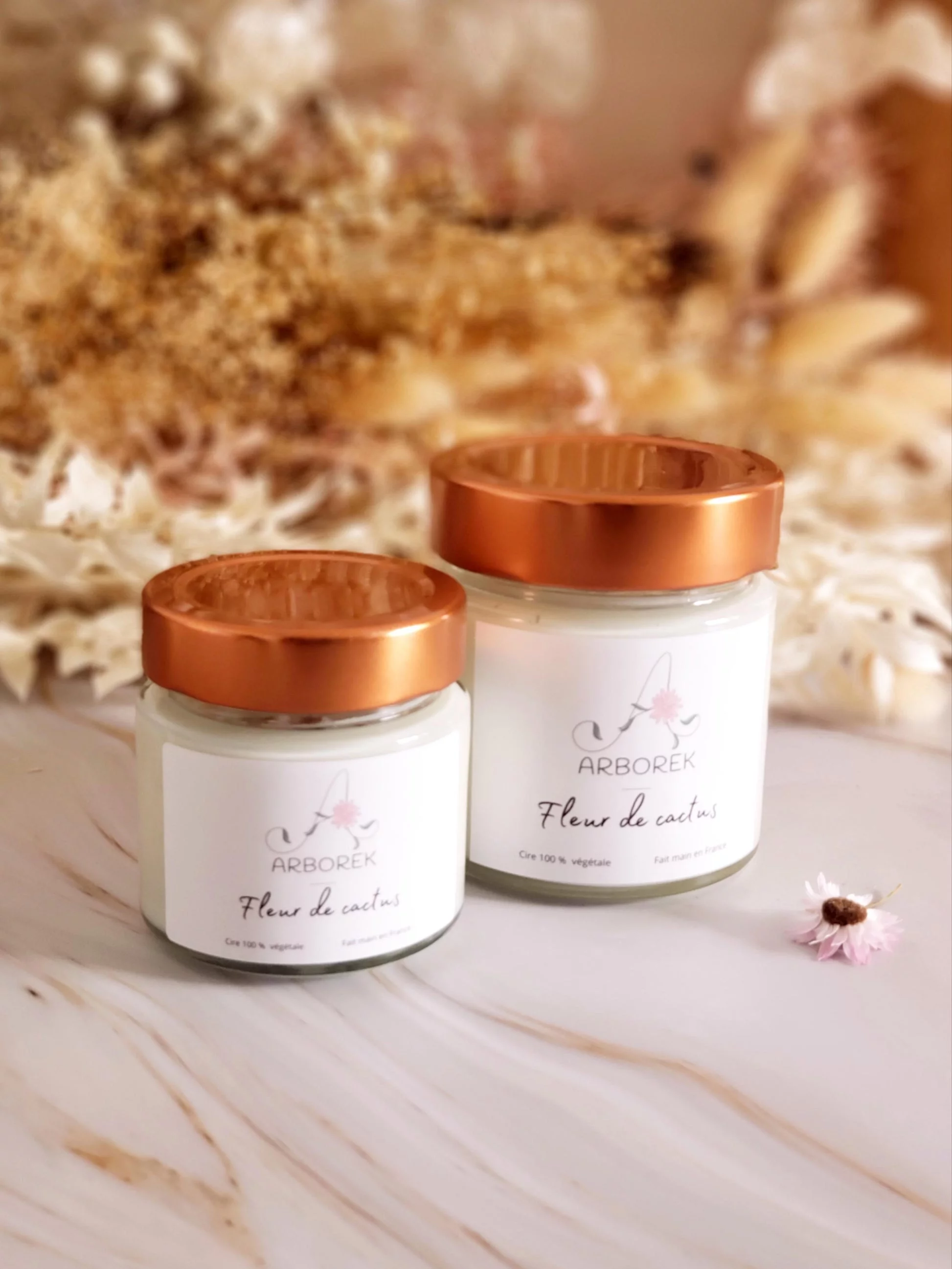 Bougie Cactus - cire végétale de soja - Photo 2