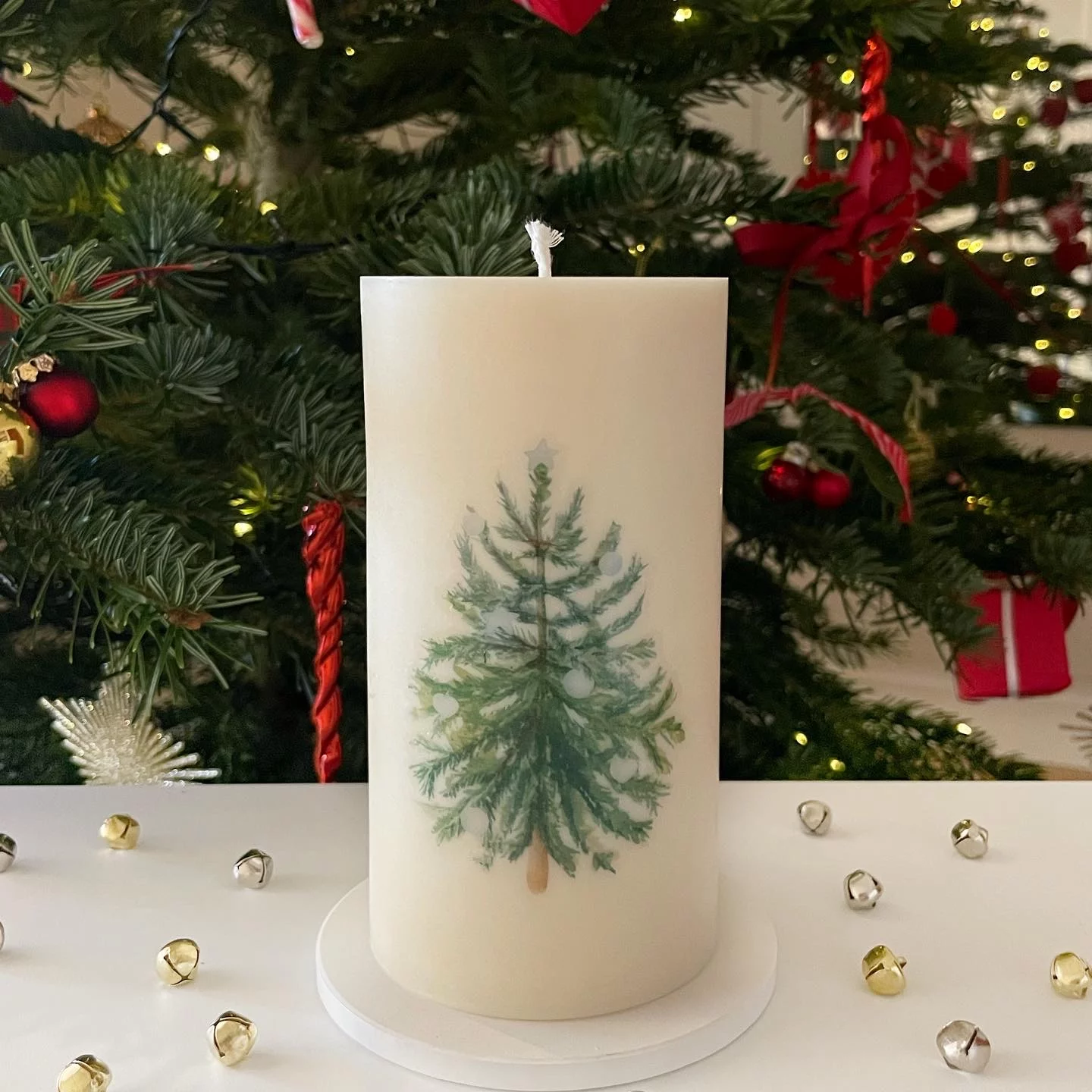 Sapin - Taille M